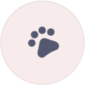 icon1